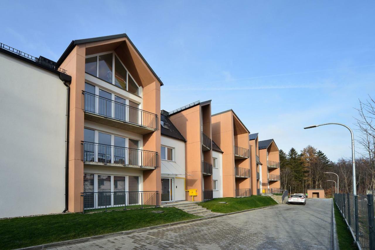 Apartament Sun & Ski Willa K2 Black & White Karpacz Buitenkant foto